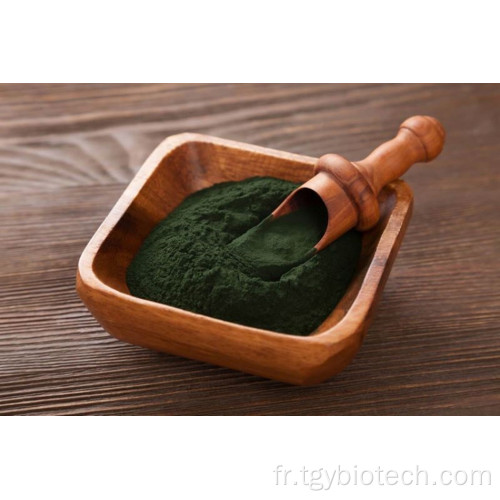 Pure de poudre de chlorella Pure Vulgaris / Chlorella